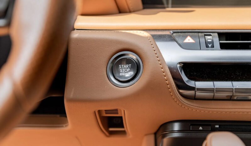 2018 Lexus LC 500 full