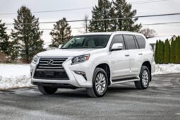 2019 Lexus GX 460 full
