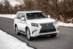 2019 Lexus GX 460 full