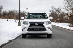 2019 Lexus GX 460 full
