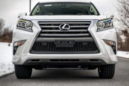 2019 Lexus GX 460 full
