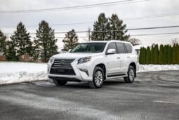 2019 Lexus GX 460 full