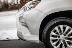 2019 Lexus GX 460 full