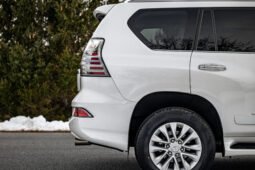 2019 Lexus GX 460 full