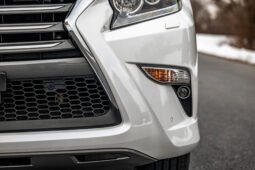 2019 Lexus GX 460 full