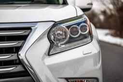 2019 Lexus GX 460 full