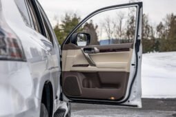 2019 Lexus GX 460 full