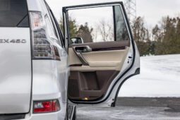 2019 Lexus GX 460 full