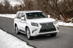 2019 Lexus GX 460 full