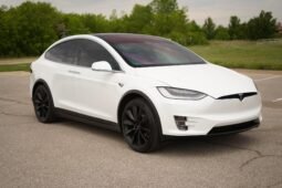 2019 Tesla Model X Performance full