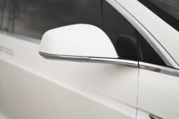 2019 Tesla Model X Performance full