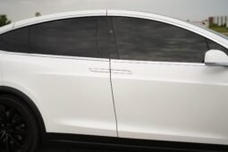 2019 Tesla Model X Performance full