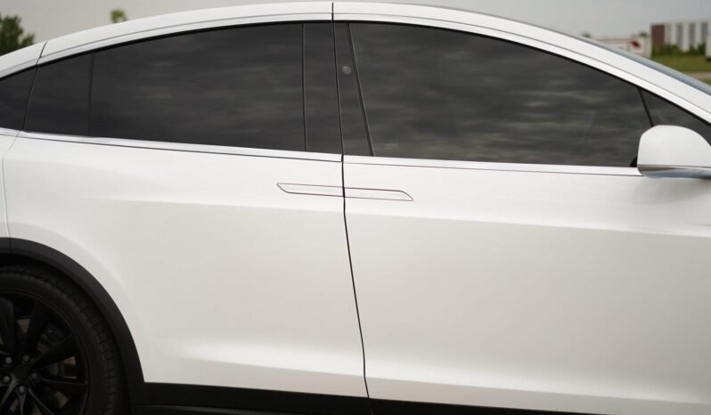 2019 Tesla Model X Performance full