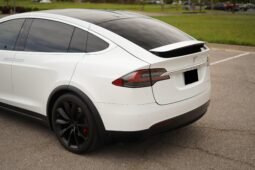 2019 Tesla Model X Performance full