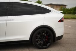 2019 Tesla Model X Performance full