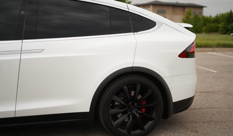 2019 Tesla Model X Performance full