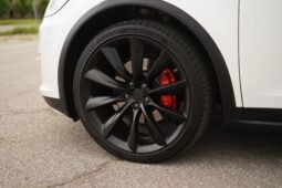 2019 Tesla Model X Performance full