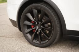 2019 Tesla Model X Performance full