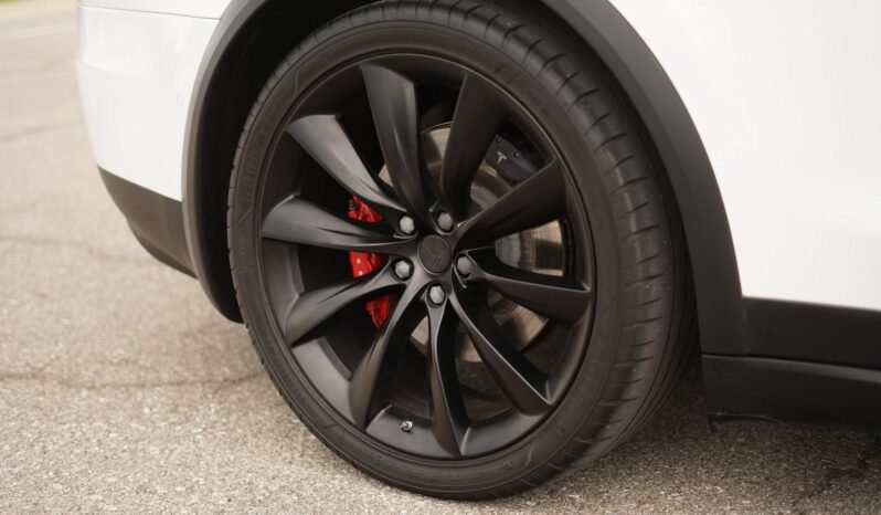 2019 Tesla Model X Performance full