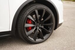 2019 Tesla Model X Performance full