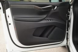 2019 Tesla Model X Performance full