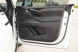 2019 Tesla Model X Performance full