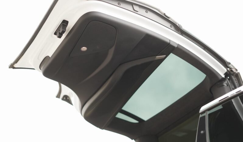 2019 Tesla Model X Performance full