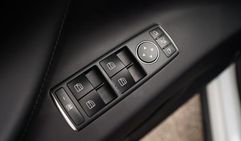 2019 Tesla Model X Performance full