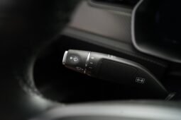 2019 Tesla Model X Performance full