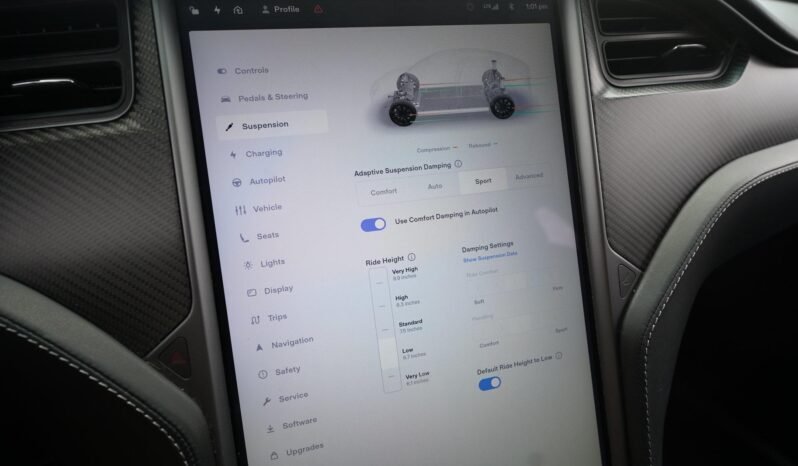 2019 Tesla Model X Performance full