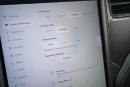 2019 Tesla Model X Performance full