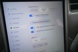 2019 Tesla Model X Performance full