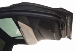 2020 Tesla Model X Long Range full